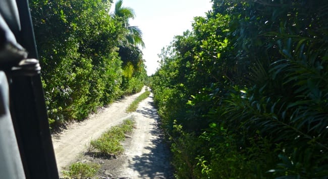 xcalak road
