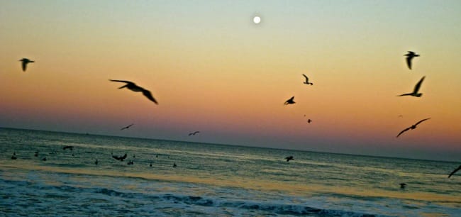 full moon