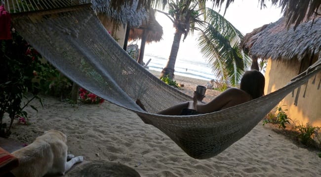 jen hammock