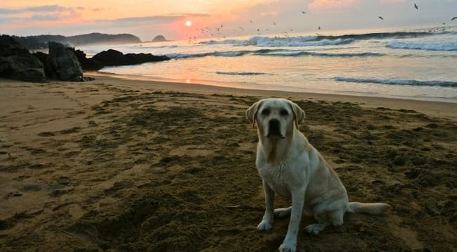 karma sunrise