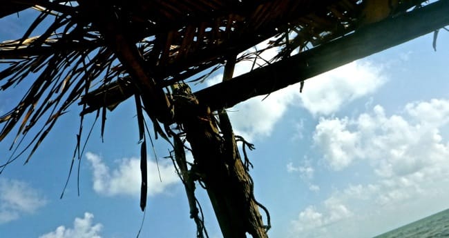palapa