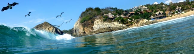 pelicans surf3