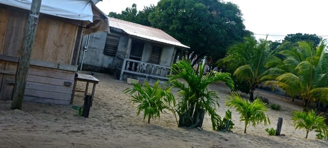 tereses house