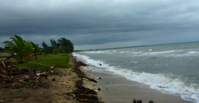 windy seas