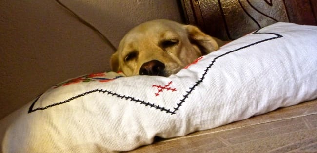 karma pillow 2
