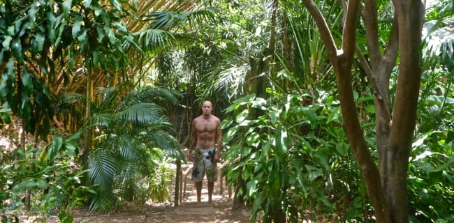 jardin 3
