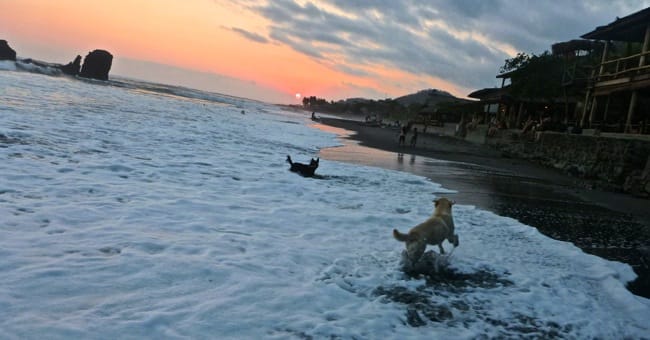 karma surf