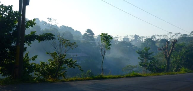 morning mist