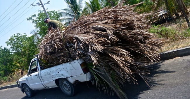 palapa truck