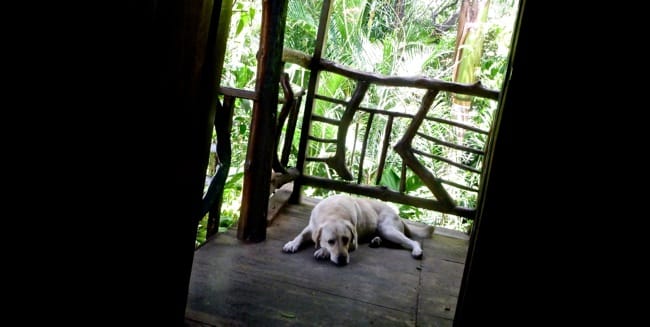 porch