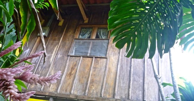 tortuga verde lodge