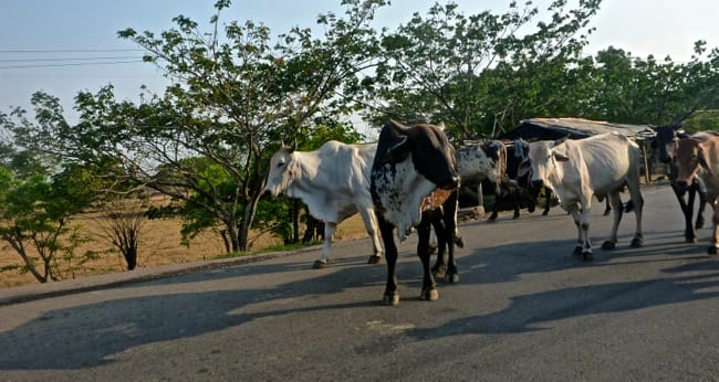 traffic jam