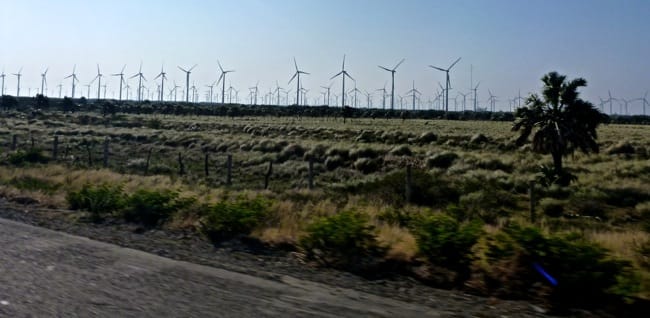 windmills