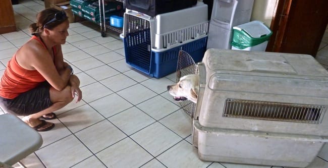 crate