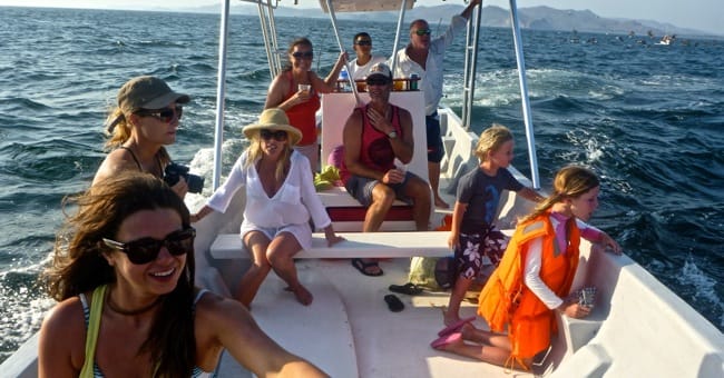 dolphin cruise