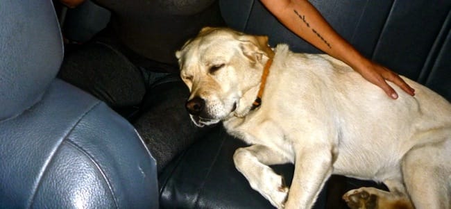 karma nap