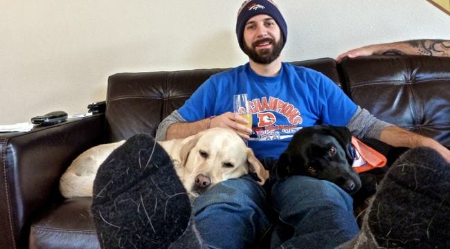 lap dogs