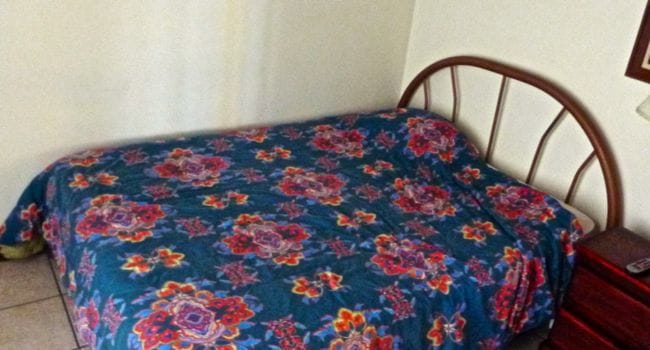 bed