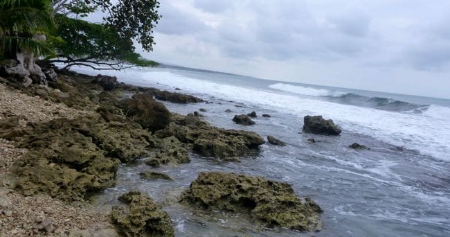 coral and waves