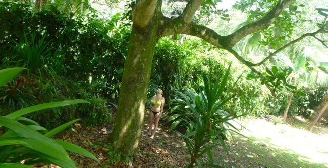 looking for sloth