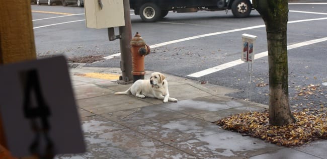 karma waiting