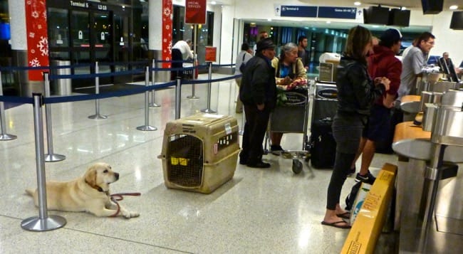 airport