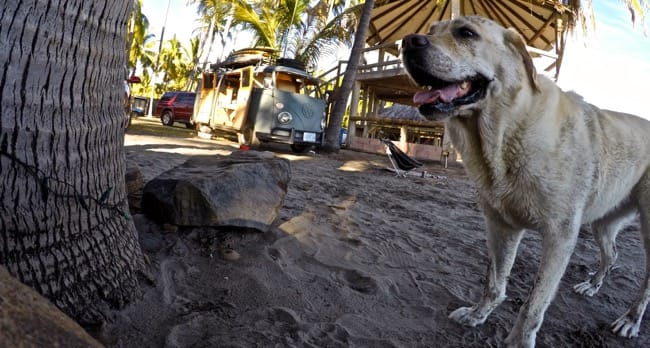 DCIM110GOPROGOPR0030.