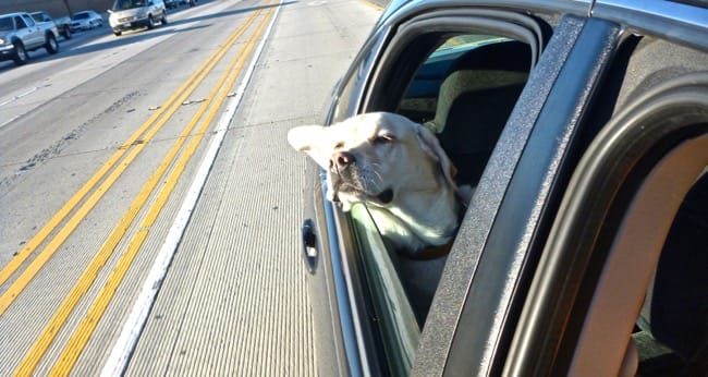 road trip