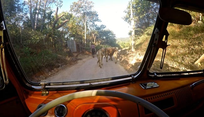 DCIM113GOPROGOPR3794.