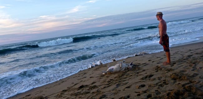 bry beach