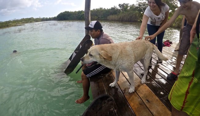 DCIM100GOPROGOPR3968.