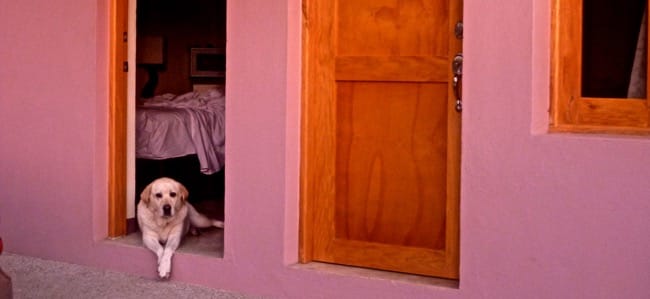 karma pink