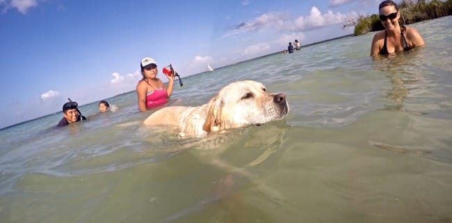 DCIM100GOPROGOPR3978.