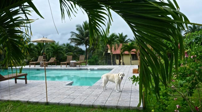pool
