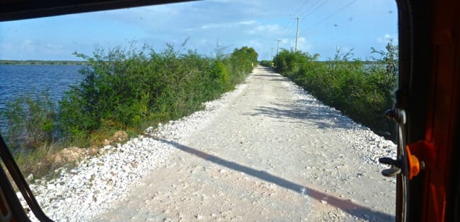 road to croked tree
