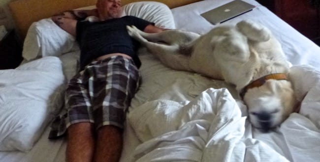 appy dog