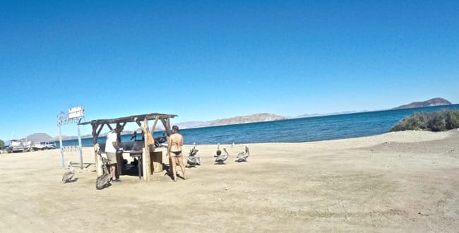 DCIM100GOPROGOPR5701.