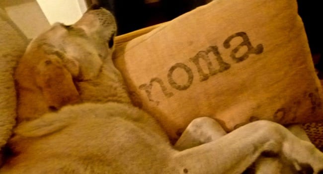 karma sonoma