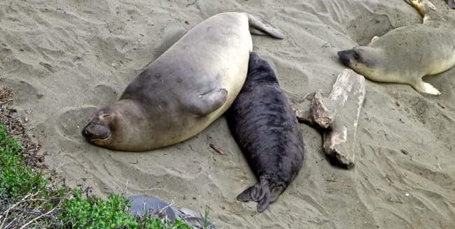 mom and baby