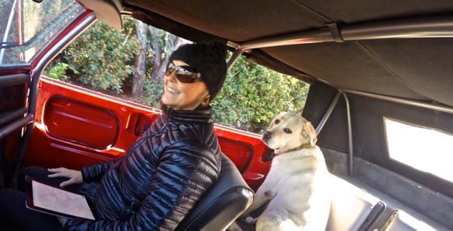 DCIM100GOPROGOPR6034.