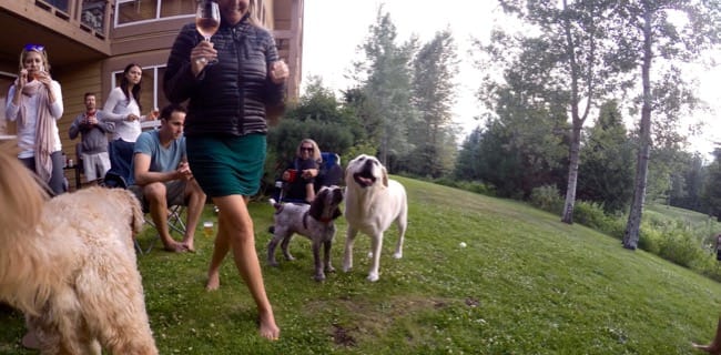 DCIM107GOPROGOPR8174.