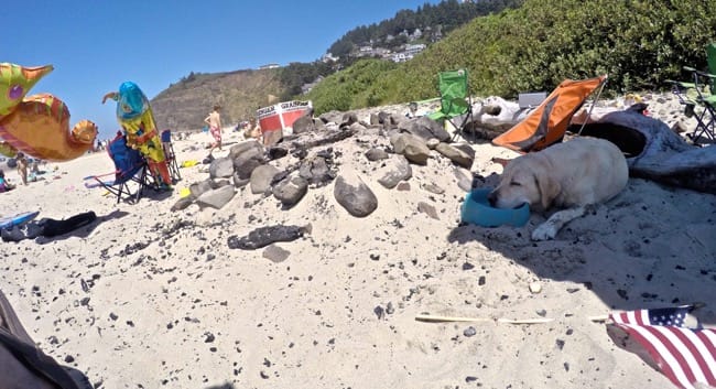 DCIM107GOPROGOPR8028.