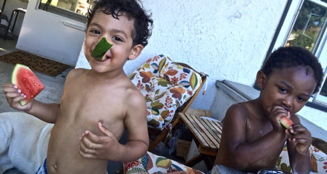 watermelon