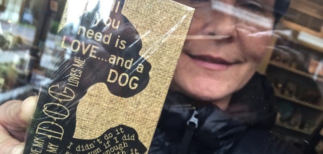 all you need is dog