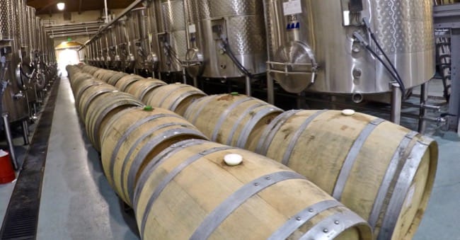 DCIM100GOPROGOPR4104.