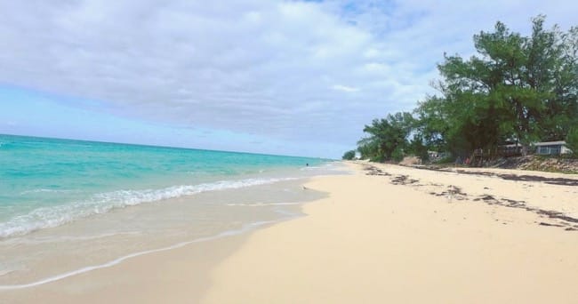 beach.jpg