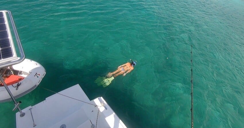snorkel from boat.jpg