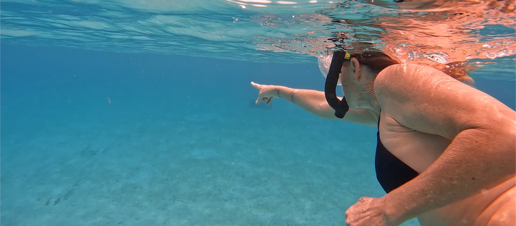 Trade-ins and Trade-offs