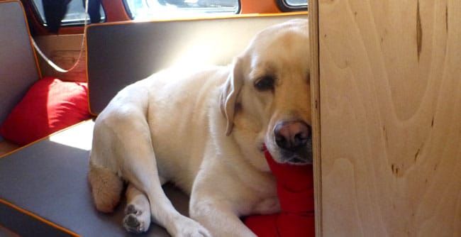 Brock and Kelly come to VAN