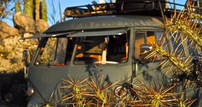 Cacti-paradise in Catavina